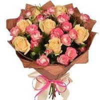 ²�����! ²�����! ²�����!